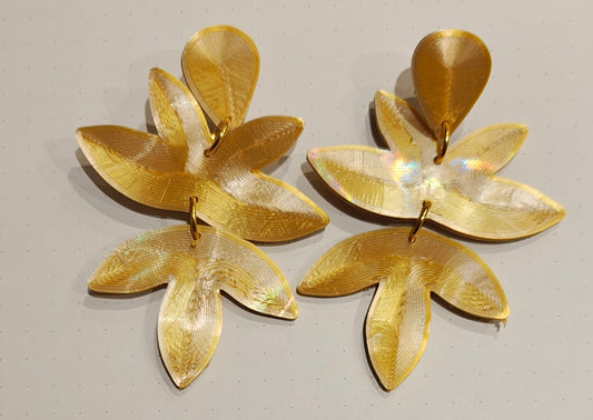 Loregoxo pequeño