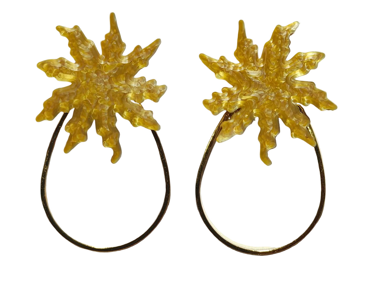 Eguzkikolore Gota
