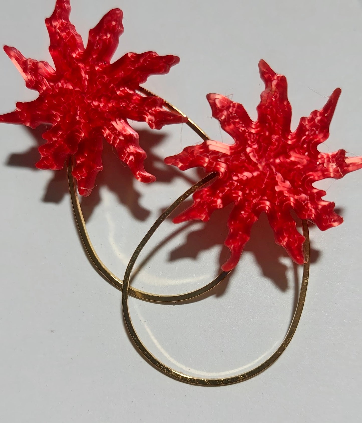 Eguzkikolore Gota